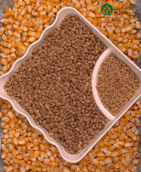 6-Picsart-AiImageEnhancer