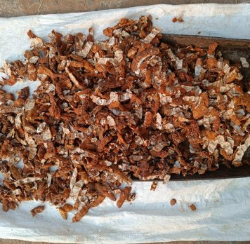 WhatsApp Image 2025-07-29 at 20.18.38 (2)